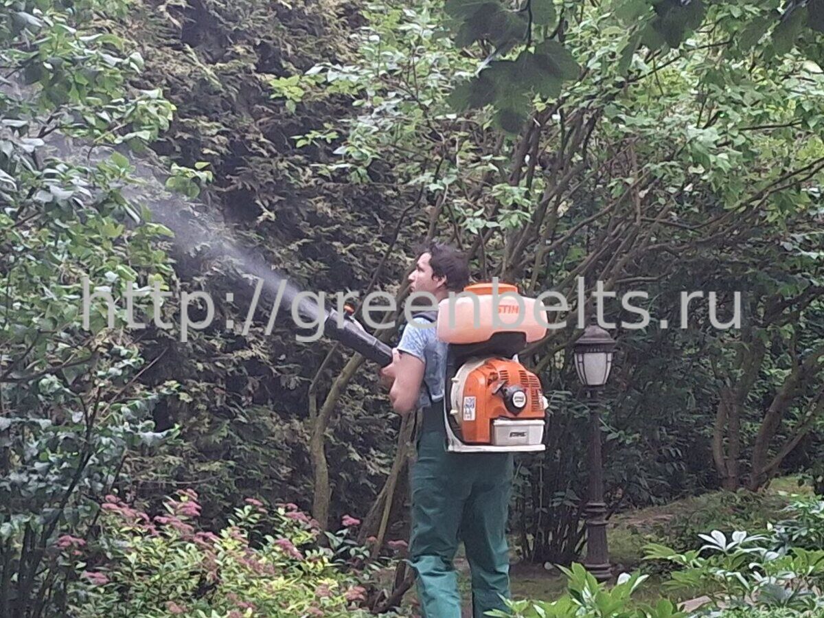 photo_2025-07-08_17-38-25_3