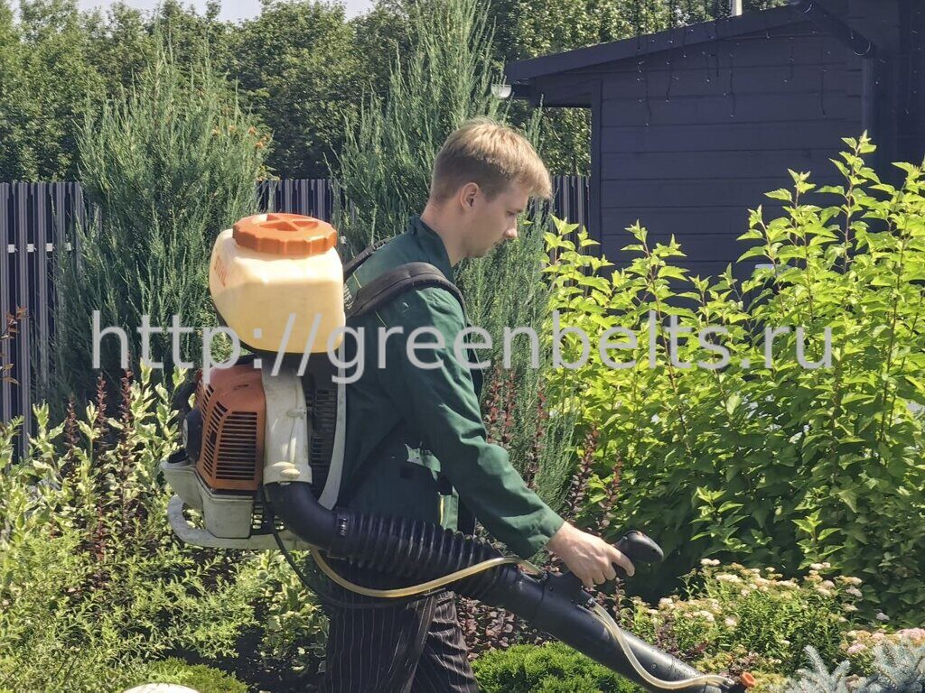   Сергеев Антон  